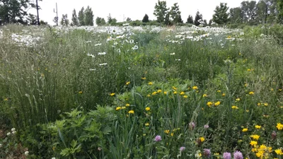 Leonia - Photo 3