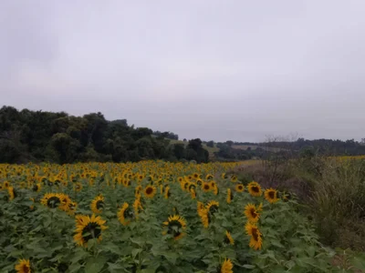 Itapetininga - Photo 2