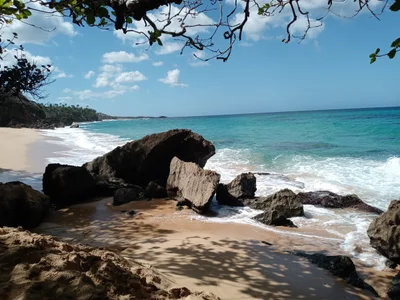 Manatí - Photo 2
