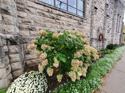 Cedarburg - Photo 4