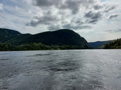 Steady Brook - Photo 5