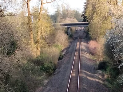Elma - Photo 2
