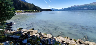 Valdez - Photo 2