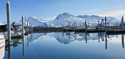 Valdez - Photo 5
