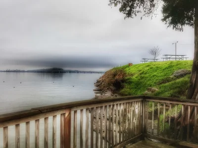 Guntersville - Photo 4