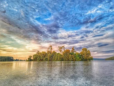 Guntersville - Photo 5
