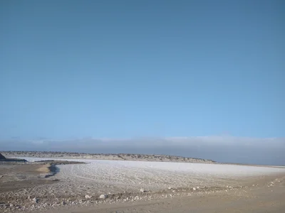 Scammon's Lagoon - Photo 3