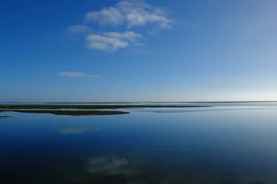 Scammon's Lagoon - Photo 4