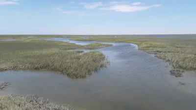 Scammon's Lagoon - Photo 5