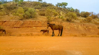 Hermannsburg - Photo 3