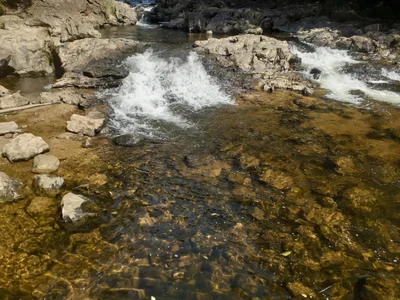 Marsilac - Photo 3