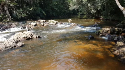 Marsilac - Photo 4