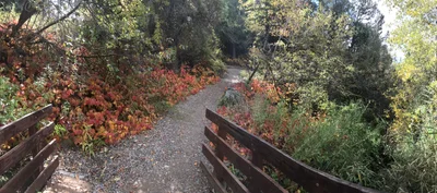Rexburg - Photo 4