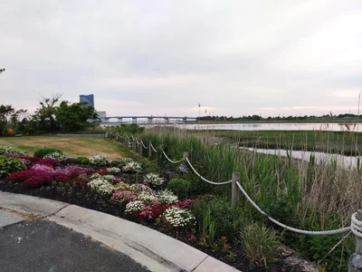 Brigantine - Photo 2