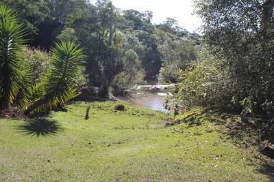 Tibagi - Photo 2