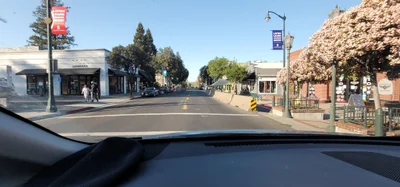 Los Gatos - Photo 4
