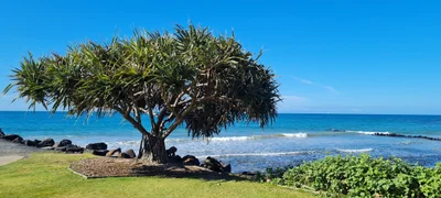 Bundaberg Region - Photo 4