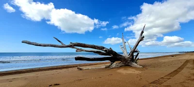 Bundaberg Region - Photo 5