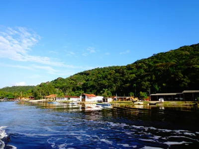 Ariri - Photo 2