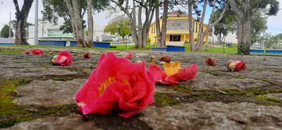 Campina Grande do Sul - Photo 5