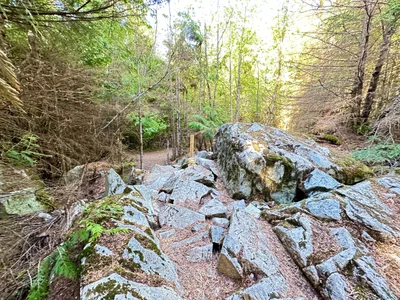 Area G (Deroche/Dewdney/Sumas Mountain) - Photo 3