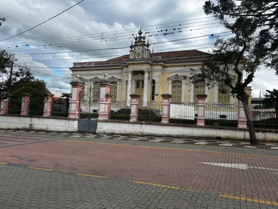 Palmeira - Photo 2
