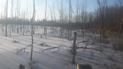 Grand Blanc - Photo 3