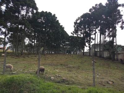 Piraquara - Photo 2