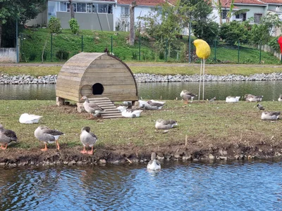 Piraquara - Photo 3
