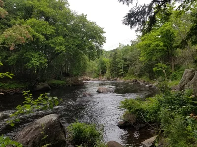 Sainte-Adèle - Photo 5