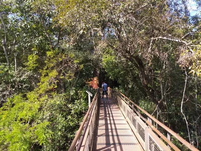 Sendero Macuco - Photo 2