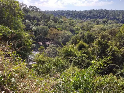 Sendero Macuco - Photo 3