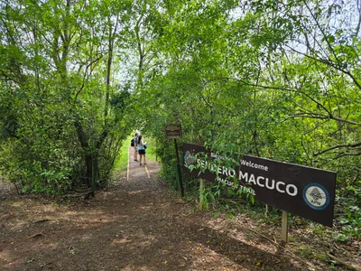 Sendero Macuco - Photo 4