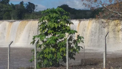 Itapejara d'Oeste - Photo 3