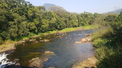 Garuva - Photo 5