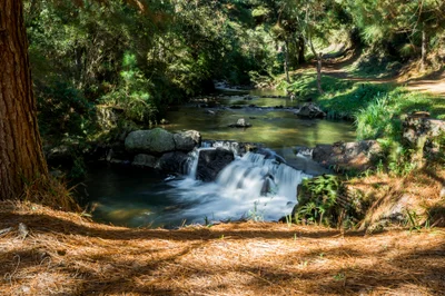 Campo Alegre - Photo 3