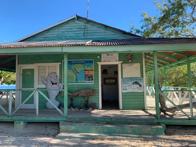 Santuario de los Mamiferos - Photo 5