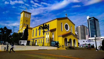 Pato Branco - Photo 3