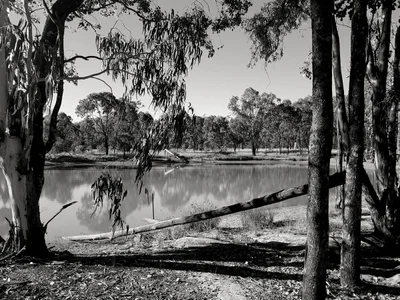 Western Downs Regional - Photo 5