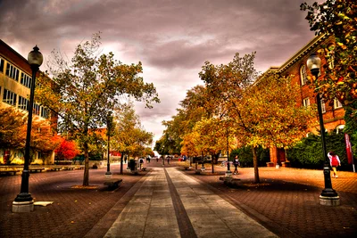 Pullman - Photo 5