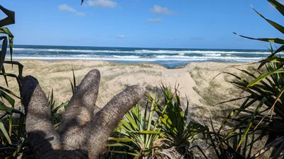 Peregian Beach - Photo 5