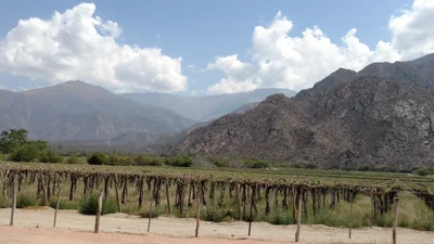 Municipio de Colalao del Valle - Photo 2