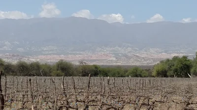 Municipio de Colalao del Valle - Photo 4