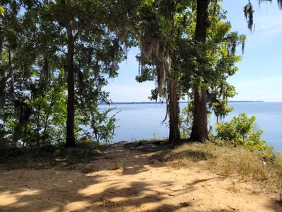 Santee - Photo 3