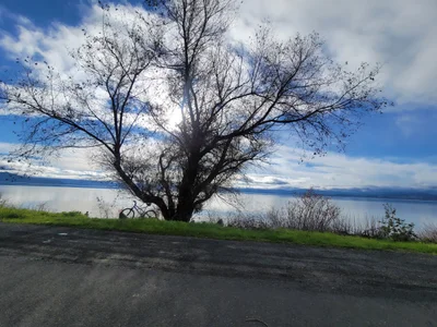 Clearlake - Photo 2