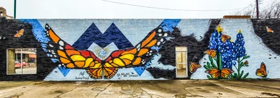 Mineral Wells - Photo 4
