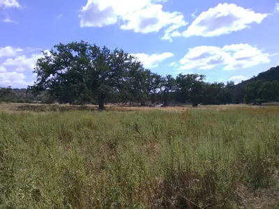 Santa Ysabel - Photo 4
