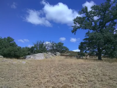 Santa Ysabel - Photo 5