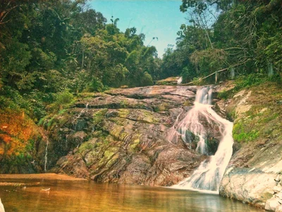 Rodeio - Photo 4
