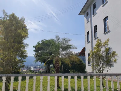 Rodeio - Photo 5